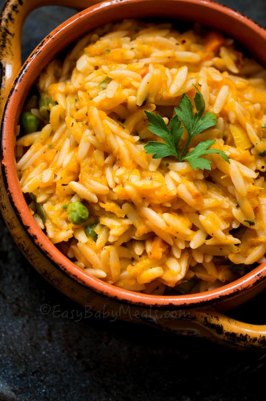 Pumpkin with Orzo Pasta-EasyBabyMeals-www.easybabymeals.com