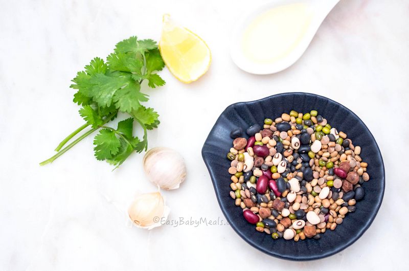 ingredients-Mixed Beans Hummus