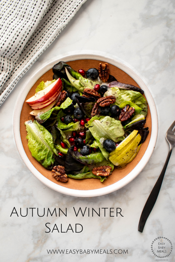 How to make Autumn Winter Salad- Easy Baby Meals